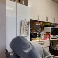 冷蔵庫の上に座っている猫とそれを見ている人