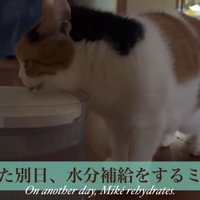テロップ「また別日、～」