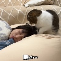 ママを見つめるぽこ太郎くん