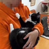 抱っこ