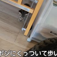 テロップ「ずっとポジに～」