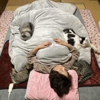 布団で寝る飼い主と猫