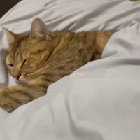 腕を伸ばした姿