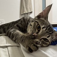 カメラ目線のくぅちゃん