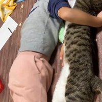 猫を抱いて横になる子ども
