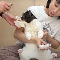 猫の様子
