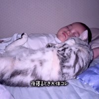 顔を寄せ合うふたり
