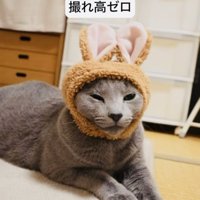 うさぎの被り物を被ってカーペットに座るロシアンブルー