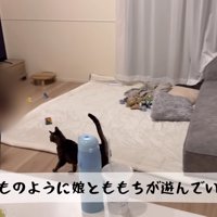 テロップ「いつものように～」