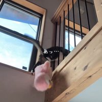 落ちるぬいぐるみ