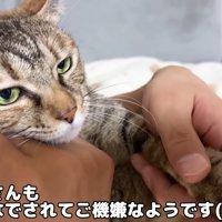 だっこされるリタちゃん
