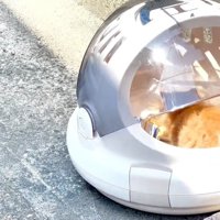 フタが閉まるキャリー