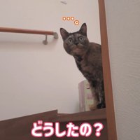 どうしたの？