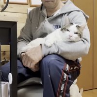 膝の上でくつろぐ猫の写真8