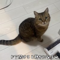 「ドア開けると静かになるｗ」のテロップ写真