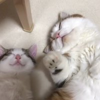 顔のアップ