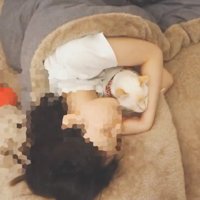 一緒に寝る猫と飼い主