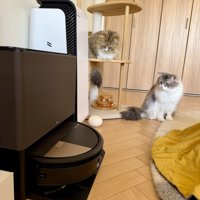 ロボット掃除機を見る2匹