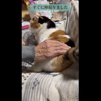 おふとんの上でリラックス