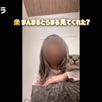 テロップ「まんまるとらまる～」