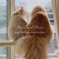 後輩猫の顔を見つめる先輩猫