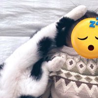 赤ちゃんの頭に乗せられた猫の後ろ足