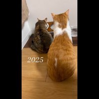 ふたりの後ろ姿