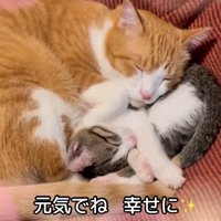 テロップ「元気でね 幸せに」