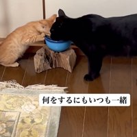 「何をするにも...」のテロップ写真