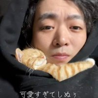 人に抱き着いて寝ている子猫