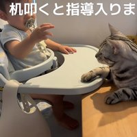 赤ちゃんと猫の写真9
