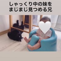 猫と子ども3