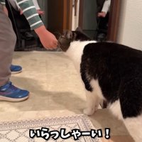 いらっしゃーい！