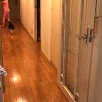廊下の奥まで