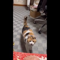 歩いてくる姿