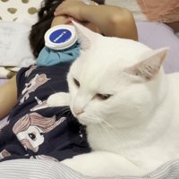お腹の上に