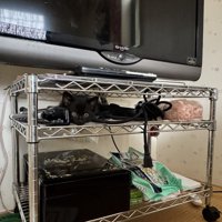 テレビラックに隠れている子猫