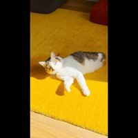 キョトン顔