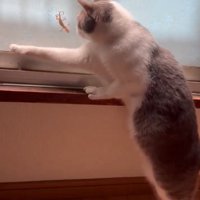 ポージング