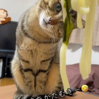 「またまたかたむき」と書かれた写真