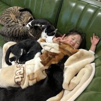 ソファで寝る女の子と猫たち