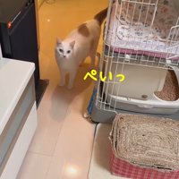 ぺいっ