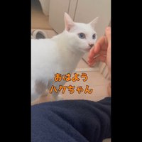 おはよう