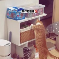 後ろ足で立ってカゴの中に前足を入れている茶白猫