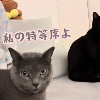 テロップ「ここは私の～」