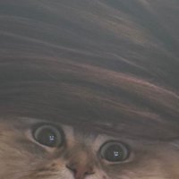 ママに吸われる猫