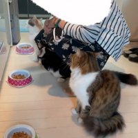 おばあちゃんの話を聞く