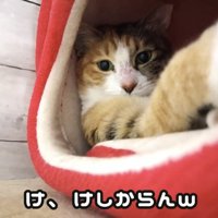「け、けしからんｗ」のテロップ写真