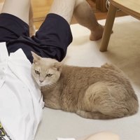 寄り添い(アップ)