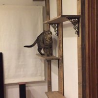 登り中